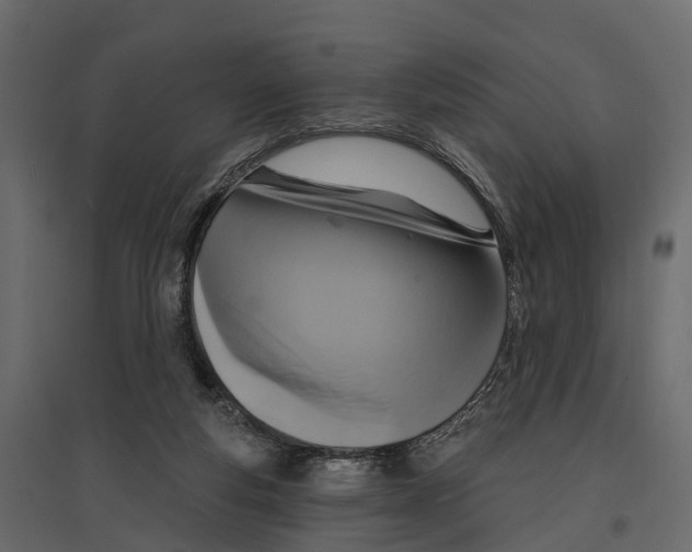 X0000096990163200803071102