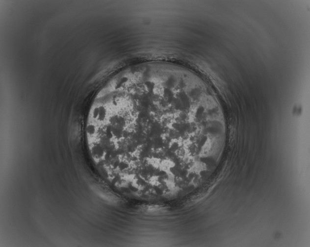 X0000096990165200803071102