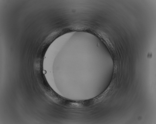 X0000096990167200803071102