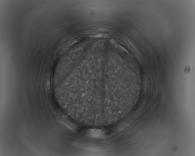 X0000096990169200803071102