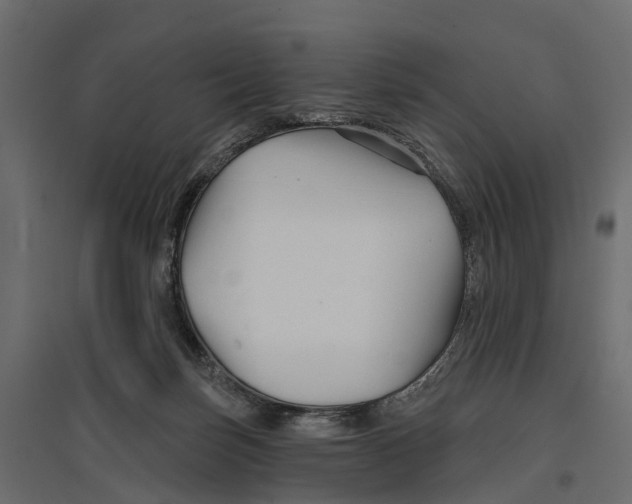 X0000096990171200803071102