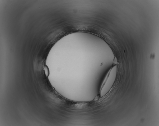 X0000096990172200803071102