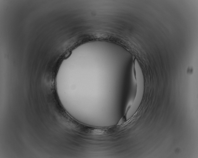 X0000096990176200803071102