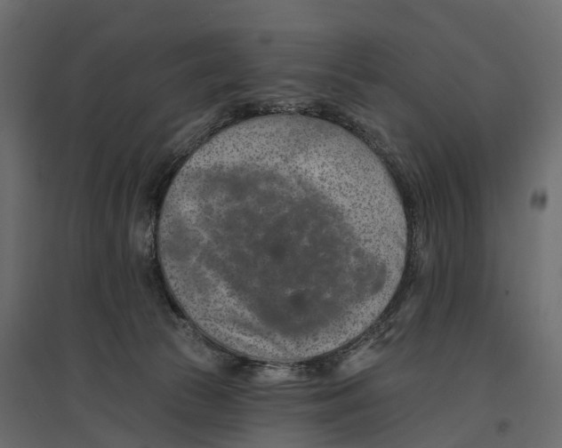 X0000096990177200803071102