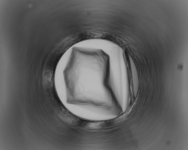 X0000096990178200803071102