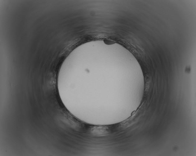 X0000096990179200803071102