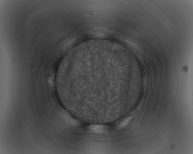 X0000096990181200803071102