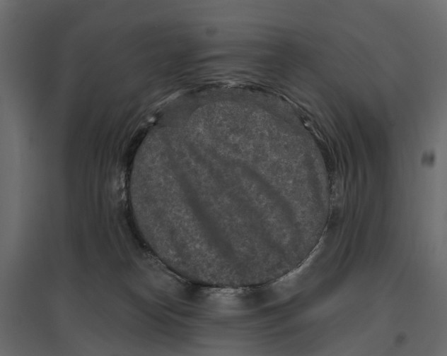 X0000096990182200803071102