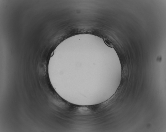 X0000096990183200803071102