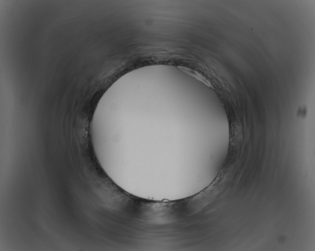 X0000096990184200803071102