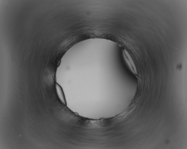 X0000096990188200803071102