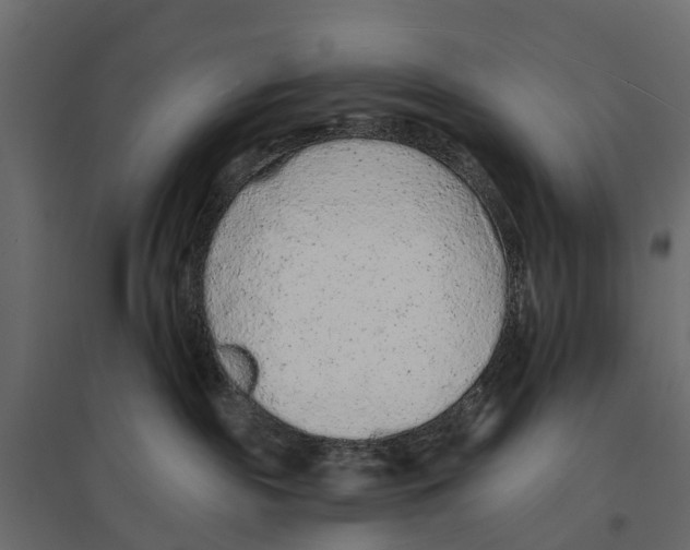 X0000096990189200803071102