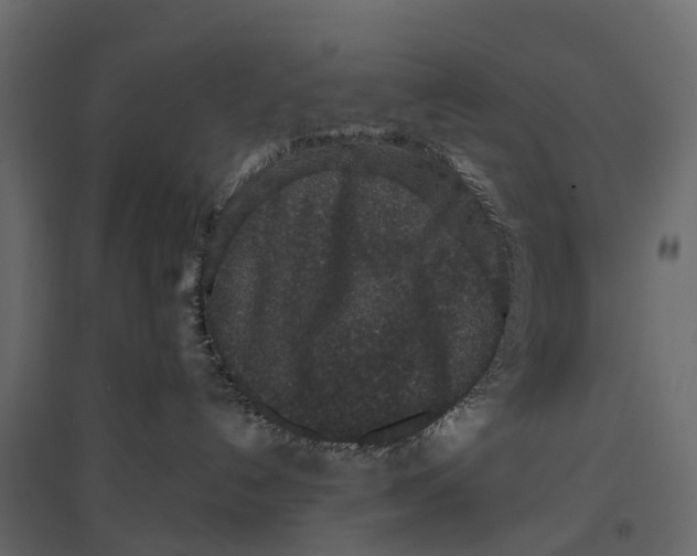 X0000096990192200803071102