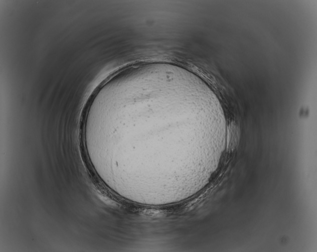 X0000096990195200803071101