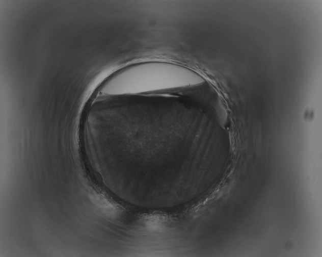 X0000096990200200803071101