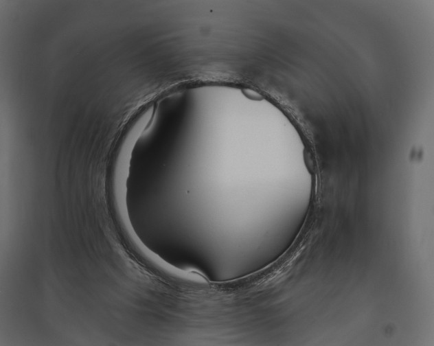 X0000096990201200803071101