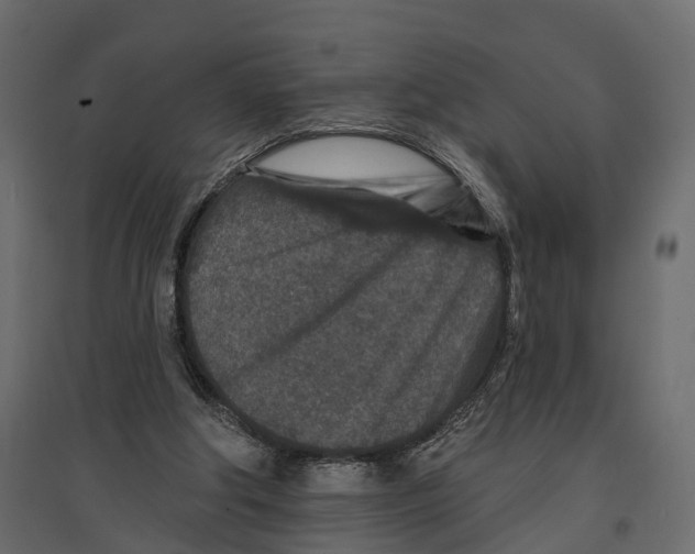 X0000096990202200803071101