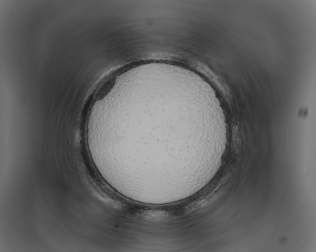 X0000096990203200803071101