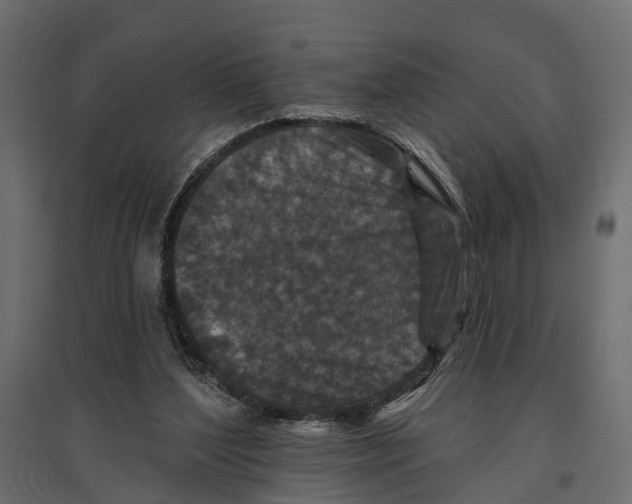 X0000096990204200803071101