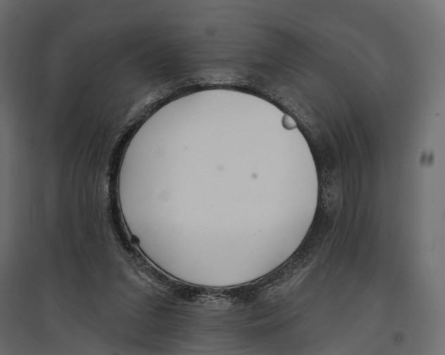 X0000096990207200803071101