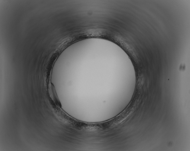 X0000096990209200803071101