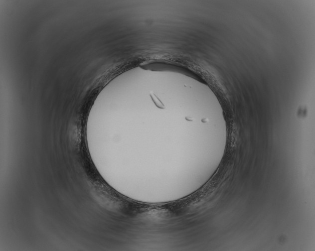 X0000096990210200803071101