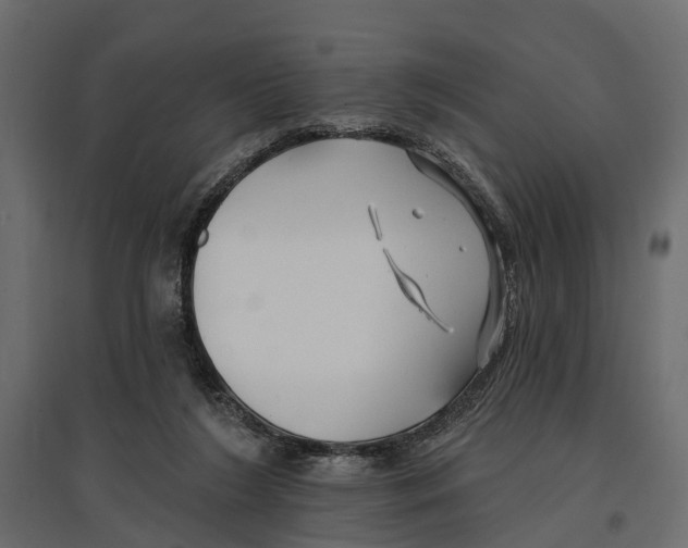 X0000096990212200803071101