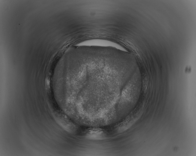 X0000096990214200803071101