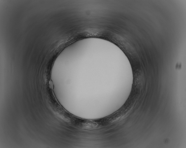 X0000096990215200803071101