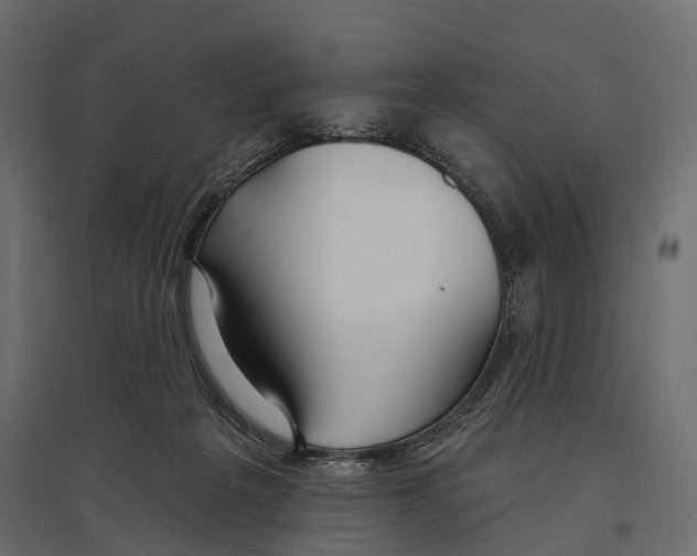 X0000096990217200803071101