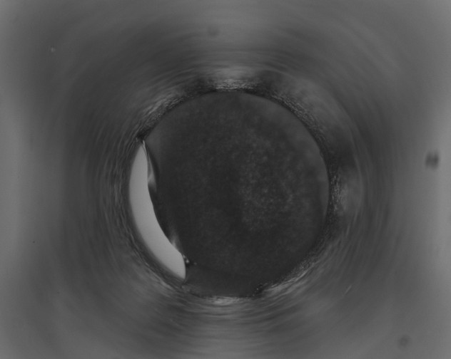 X0000096990219200803071101