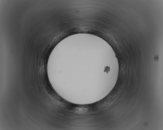 X0000096990220200803071101