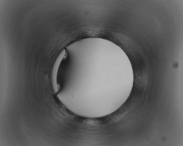 X0000096990221200803071101