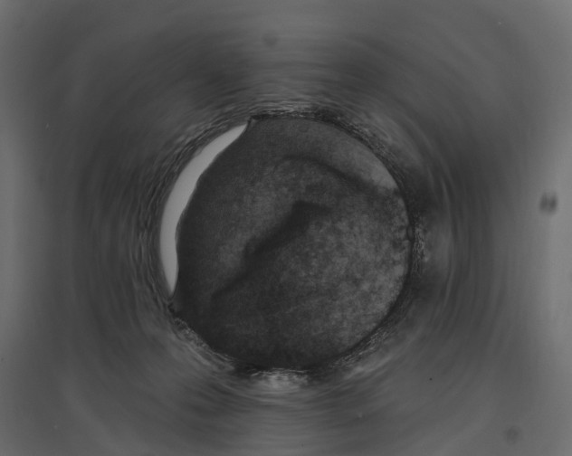 X0000096990223200803071101