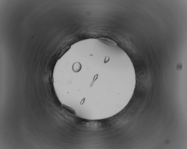 X0000096990225200803071101