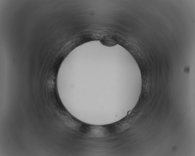 X0000096990226200803071101