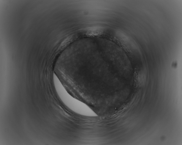 X0000096990227200803071101