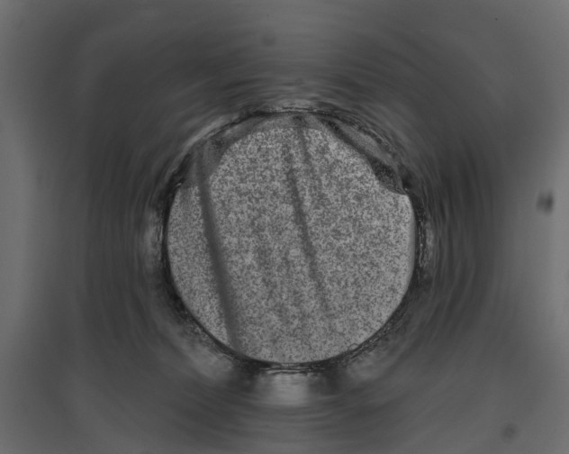 X0000096990228200803071101