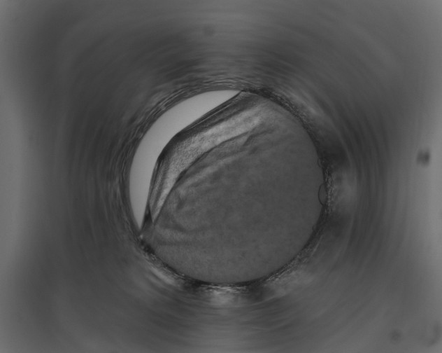 X0000096990229200803071101