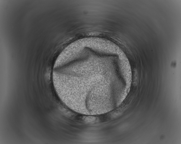 X0000096990230200803071101