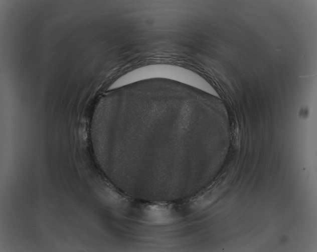 X0000096990232200803071101