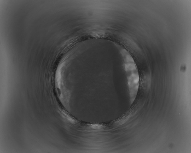 X0000096990233200803071101