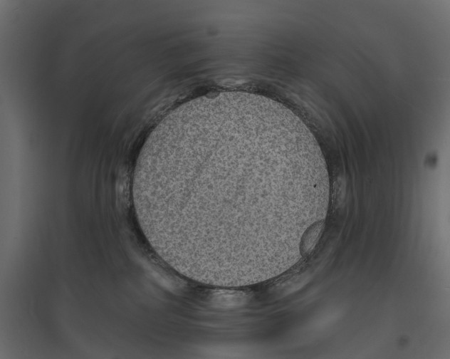 X0000096990234200803071101