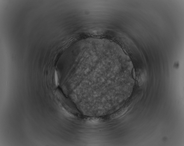 X0000096990235200803071101