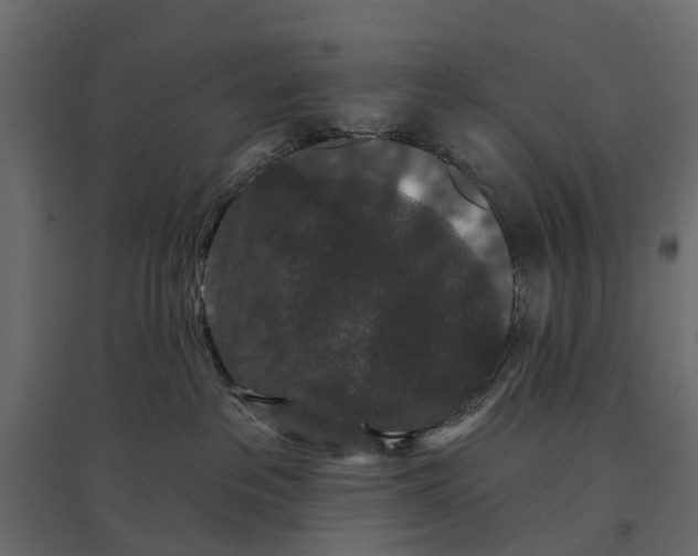 X0000096990237200803071101