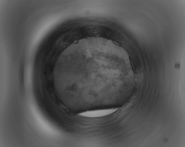 X0000096990239200803071101