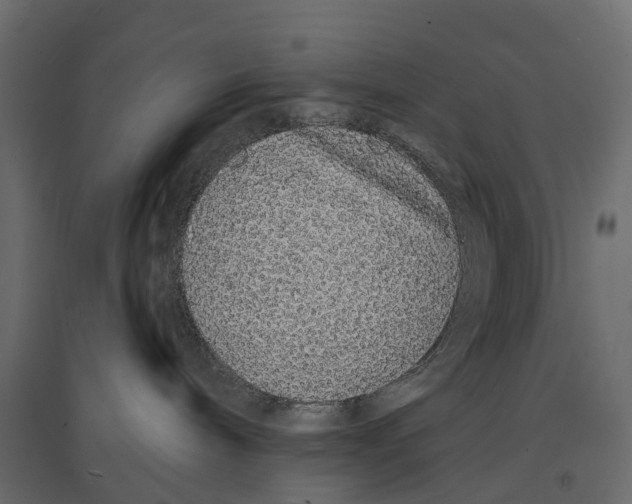 X0000096990240200803071101