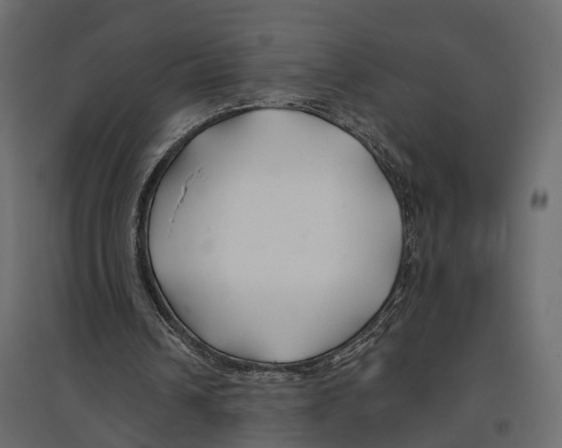 X0000096990242200803071100