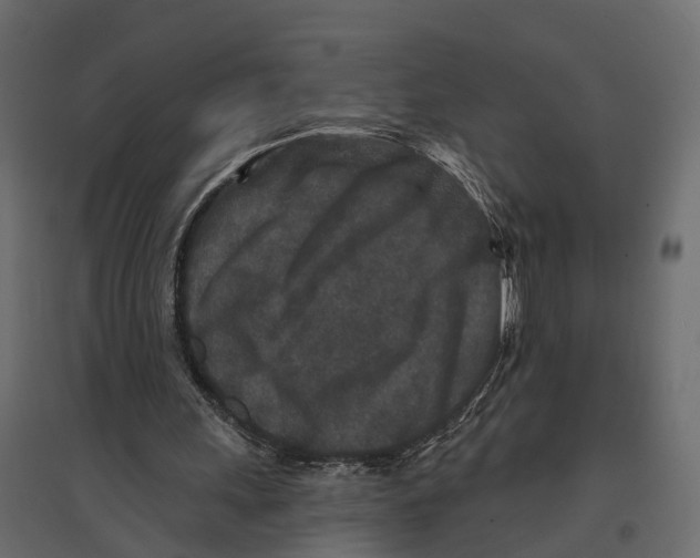 X0000096990243200803071100