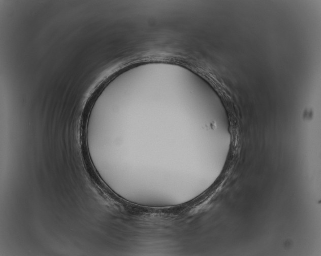 X0000096990244200803071100